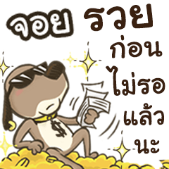 Name JOY (Cute Dog)