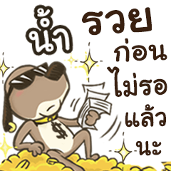 Name NAM (Cute Dog)