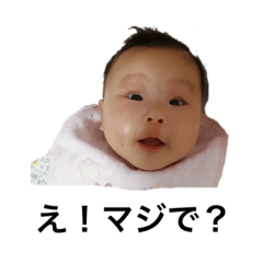 taro_2019