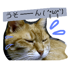 Miyo_20190105014147