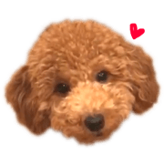 chaco's stamp