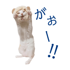 sticker of ichiro the cat