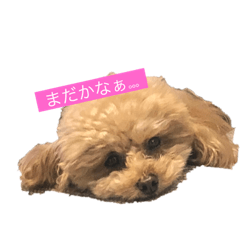 yuuki_20190105165954