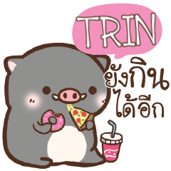 TRIN pig pig lovely e