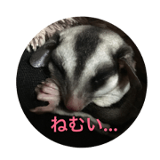 mon_20190105172743