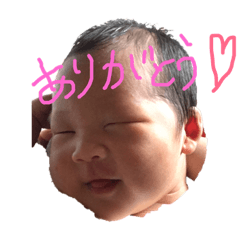 hinata_20190105184916