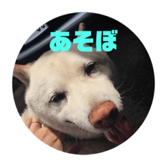 yuina_20190105180204