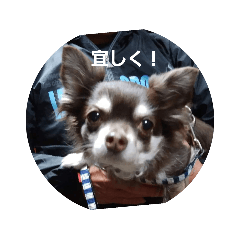 miyo_20190105232159