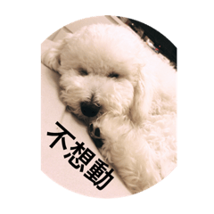 鉄熊