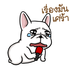 โดก้า แก๊งหมาสุดกวน