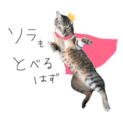 my cats stamp,so lovely