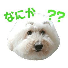 Rie_20190106174013