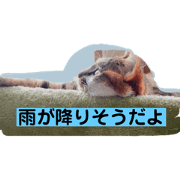 LIME_20190106235017