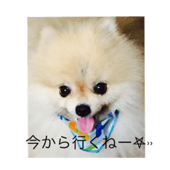 BB_20190106151546