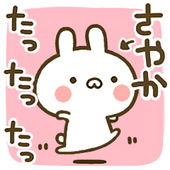 Cute Rabbits[Sayaka]