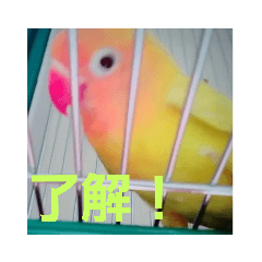 KappyJapan_20190107070945