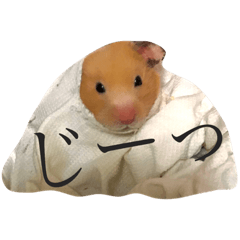 Hamster mu-min