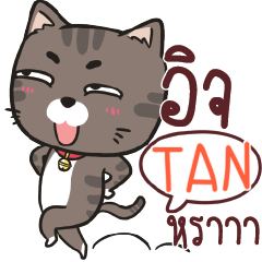 TAN charcoal meow e