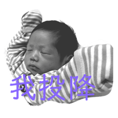 舜舜的日常生活