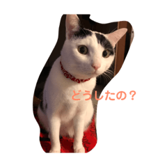 junko_20190106141104