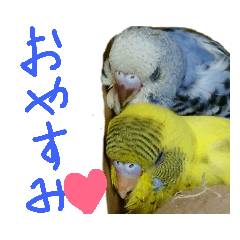 haruna_20190104160713