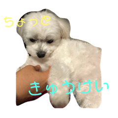 natsumi_20190104022611