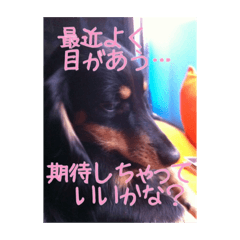 hayato_20190107160656