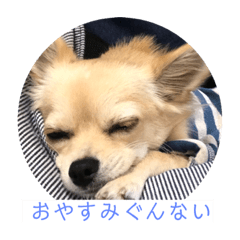 haruto_20190106085123