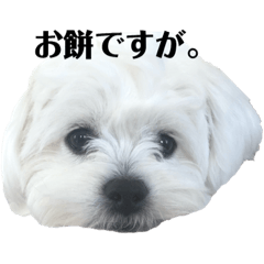 omochi_20190107234513