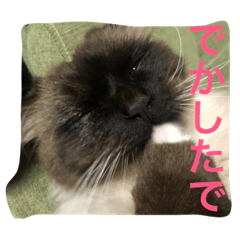 関西弁 猫 スタンプ 第2弾