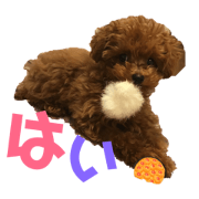 ikura923_20190109111659