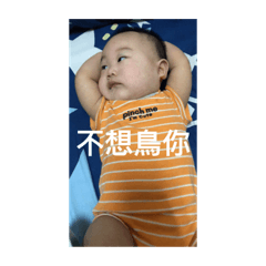 小肉圓日常生活