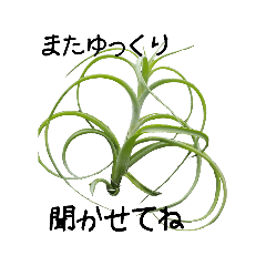 botanical life_20190108083459