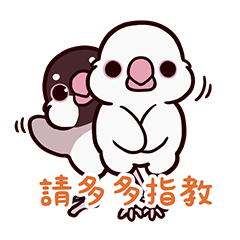 (New) 文鳥駕到!Part 1