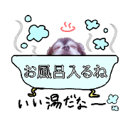 haomama_20190108191951