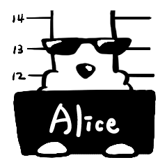 Mr.A dog_527 Alice