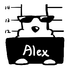 Mr.A dog_529 Alex