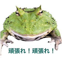 AYUMI_20190107185118