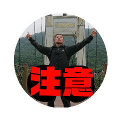 電子205