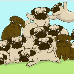 Happy Pugs Sticker