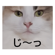 T.Osaki_20190104222720