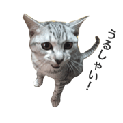 tenkitisensei_20190105190226