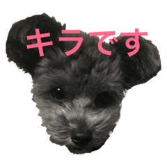 masanobu_20190103150341