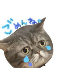 natsumi_20190103231712