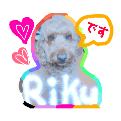 Riku_20190107093756