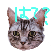 chan_20190103231128