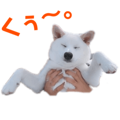 hikaru_20190104024601