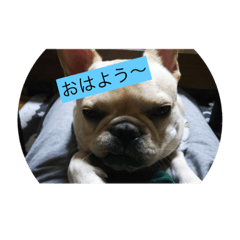 Riku_20181225153841
