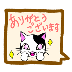 Daily greentings cat ver