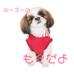 ちびっこシーズーもぐちゃん Line スタンプ Line Store